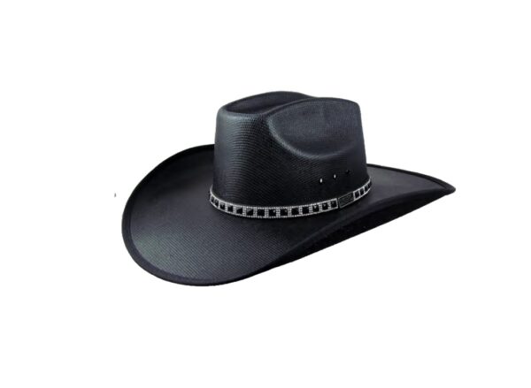 CHAPEU 709 DAKOTA BLACKOUT STRASS - MDL