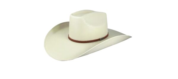 CHAPEU 728 DAKOTA LONA MEXICANO - MDL